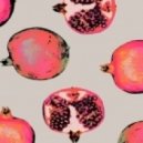 DJ NiaGara - Summer Mood House