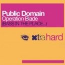 Public Domain - Operation Blade 2013 (D Session & Dj Cool Rework)