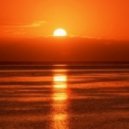 Too Many Artists - Discover Catharsis