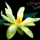 G-Point Project - Night-Bloom