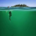 Vinich & The Modergrade & I.D. - Just Can\'t Explant ()