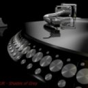 FAUR - Shades of Grey [08.09.2013] ()