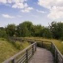 Nemaier - Split (Original Mix)