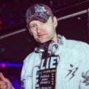 DJ Den Nikitin - Wings Life Mix ()