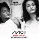 Avicii feat. Aloe Blacc - Wake Me Up (DJ Kopernik Remix)
