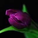Marie Therese - Magic Moment ()