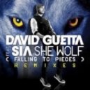 David Guetta feat. Sia - She Wolf (Duo Yad Remix)
