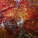 Yura Feliz - Beginning Of Autumn