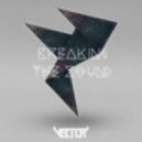 Vector - BreakingTheSound