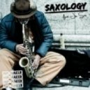 Hipshaker feat. Jim Sax - Saxology
