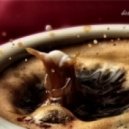 Vladimir Boychouk - Black coffee