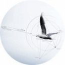 Jan Amit - Algidity