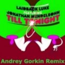 Laidback Luke feat. Jonathan Mendelsohn - Till Tonight (Andrey Gorkin Remix)