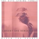 The Kite String Tangle - Given The Chance (Sapient Ape Remix)