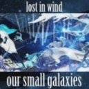 Our small galaxies - Lost in wind