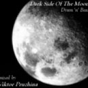 Viktor Pruzhina - Dark Side Of The Moon ()