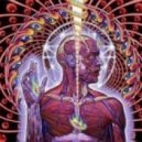 Tool - Lateralus (HeavyGrinder DNB Remix)