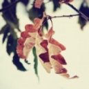 Be Free - Autumn essence