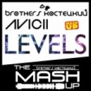 Avicii - Best of Levels