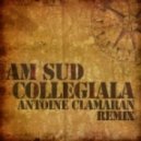 Am Sud & LLP - Collegiala Alarm (Dj Alex`Mp4 & Ionut Nanu Booty Mix)