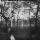 Nymos - Forlorn ()