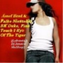 Amel Bent & Falko Niestolik, BK Duke, Fine Touch - Eye Of The Tiger (Lefronta & Dj Jeneva Mashup)