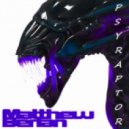 Matthew Berlan - Psy Raptor ()