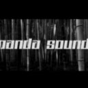 Panda Sound - Hard Good Bye ()