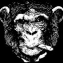 Martin Garrix, Obek, Aaron Chase, Weessel S - Wonderwall Animals (JoseGarcia Private Mashup)