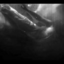 CHAINLESS - Grey Veils