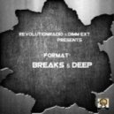 Dimm Ext - Radioshow "FORMAT" 002 ()