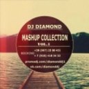 DNK Project, Sandro Escobar - I Wanna Fuck You Now (Dj Diamond 2k13 Mash-Up)