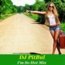 DJ PitBul - I\'m So Hot Mix ()