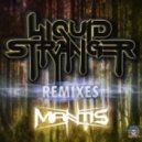 Liquid Stranger - Drones (Mantis Remix)