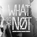What So Not - Touched ()
