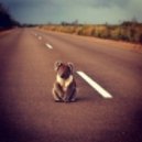 Down Under - Chuck Norris Dub