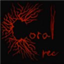 Calvin Harris - Thinking About You