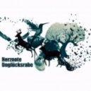 Herznote - Unglücksrabe (Original Mix)