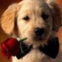 Vladimir Boychouk - Walkman