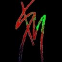 GXVM - Test Of Time