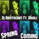 Dj Aristocrat ft. Brioli - Spring Coming (Bare B Remix) (Spring Coming)