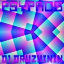 Dj Druzhinin - Psyprog