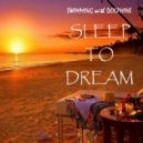 Swimming With Dolphins - Sleep To Dream
