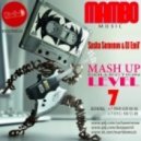Martin Solveig vs. Denis Rublev - The Night Out (Sasha Semenov & Dj Emil\' Mash Up)