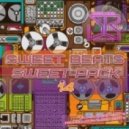 Lady Gaga vs. Slider & Magnit - Applause