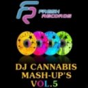 Timati vs. DJ Favorite ft. Kristina Mailana ft. DJ Dnk - My Life Superstar (DJ Cannabis Mashup)