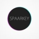 Tiesto ft. Kyler England - Take Me (Spaarkey Remix)