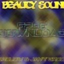 Deadlow & Javy Groove - Beauty Sounds