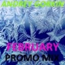Dj Andrey Gorkin - February Promo Mix 2014 ()