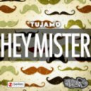 Tujamo vs. Duck Sauce - Hey Mister Bad Wolf
